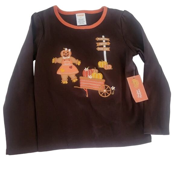 4T New Gymboree fall pumpkin patch top - Picture 1 of 3
